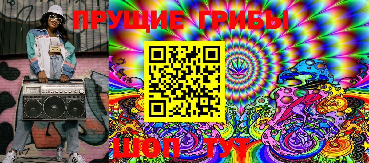 Псилоцибиновые грибы Psilocybe Чусовой